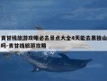 青甘线旅游攻略必去景点大全4天能去黑独山吗-青甘线旅游攻略