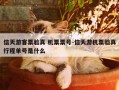 信天游客票验真 机票票号-信天游机票验真行程单号是什么
