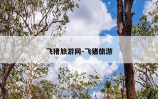 飞猪旅游网-飞猪旅游