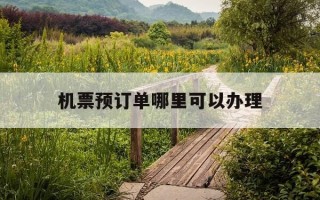 机票预订单哪里可以办理-机票从哪预定