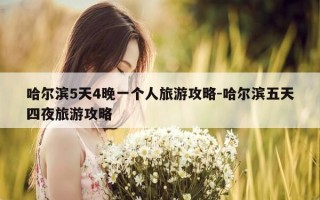 哈尔滨5天4晚一个人旅游攻略-哈尔滨五天四夜旅游攻略