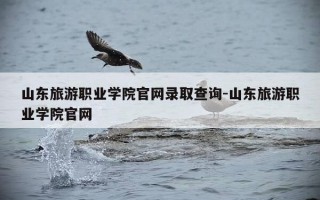 山东旅游职业学院官网录取查询-山东旅游职业学院官网