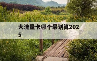 大流量卡哪个最划算2025-大流量卡哪个最划算2024