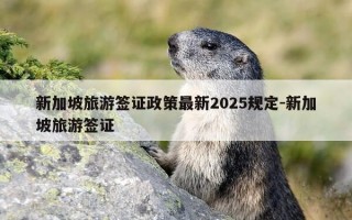 新加坡旅游签证政策最新2025规定-新加坡旅游签证