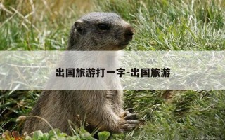 出国旅游打一字-出国旅游