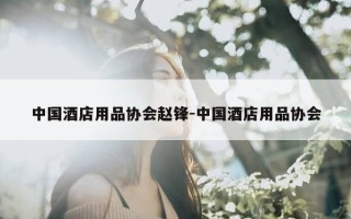 中国酒店用品协会赵锋-中国酒店用品协会