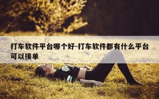 打车软件平台哪个好-打车软件都有什么平台可以接单
