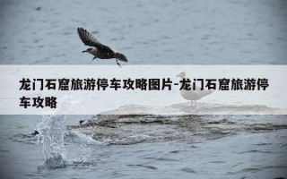 龙门石窟旅游停车攻略图片-龙门石窟旅游停车攻略