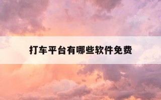 打车平台有哪些软件免费-打车软件平台哪个好