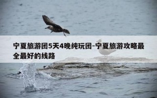 宁夏旅游团5天4晚纯玩团-宁夏旅游攻略最全最好的线路