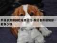 新疆旅游报团还是自由行-报团去新疆旅游一般多少钱