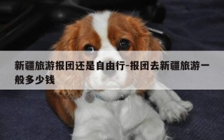 新疆旅游报团还是自由行-报团去新疆旅游一般多少钱