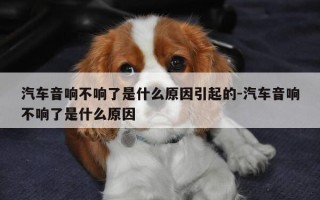 汽车音响不响了是什么原因引起的-汽车音响不响了是什么原因