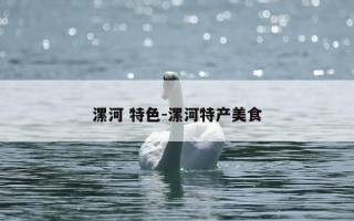 漯河 特色-漯河特产美食