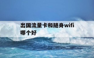 出国流量卡和随身wifi哪个好-出国流量卡怎么用