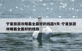 宁夏旅游攻略最全最好的线路9天-宁夏旅游攻略最全最好的线路