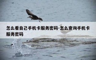 怎么看自己手机卡服务密码-怎么查询手机卡服务密码