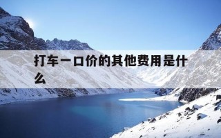 打车一口价的其他费用是什么-打车一口价可以坐几个人