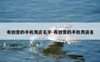 有创意的手机壳店名字-有创意的手机壳店名