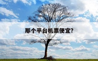 那个平台机票便宜?-哪个平台机票价格便宜