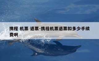 携程 机票 退票-携程机票退票扣多少手续费啊