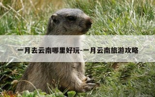 一月去云南哪里好玩-一月云南旅游攻略