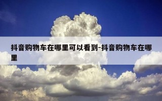 抖音购物车在哪里可以看到-抖音购物车在哪里