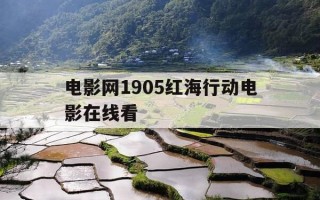 电影网1905红海行动电影在线看-