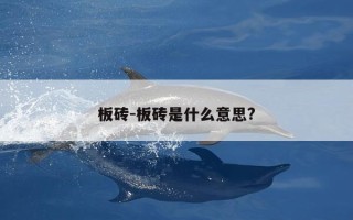 板砖-板砖是什么意思?