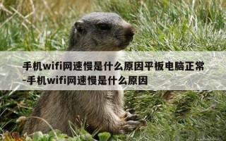 手机wifi网速慢是什么原因平板电脑正常-手机wifi网速慢是什么原因