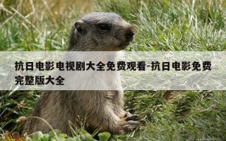 抗日电影电视剧大全免费观看-抗日电影免费完整版大全