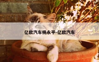 亿欧汽车杨永平-亿欧汽车