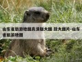 山东省旅游地图高清版大图 放大图片-山东省旅游地图