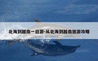 北海到越南一日游-从北海到越南旅游攻略