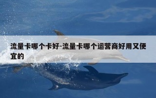 流量卡哪个卡好-流量卡哪个运营商好用又便宜的