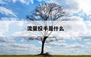 流量投手是什么-流量投放能力介绍