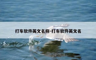 打车软件英文名称-打车软件英文名