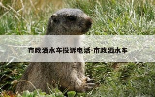 市政洒水车投诉 ... -市政洒水车