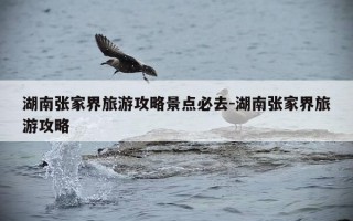 湖南张家界旅游攻略景点必去-湖南张家界旅游攻略