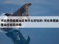 河北承德避暑山庄有什么好玩的-河北承德避暑山庄旅游攻略