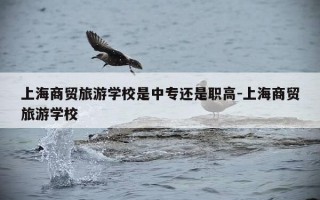 上海商贸旅游学校是中专还是职高-上海商贸旅游学校