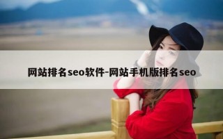 网站排名seo软件-网站手机版排名seo