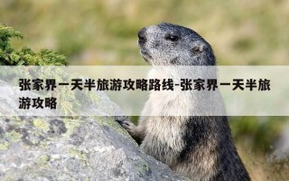 张家界一天半旅游攻略路线-张家界一天半旅游攻略