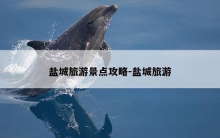 盐城旅游景点攻略-盐城旅游