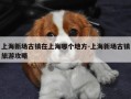 上海新场古镇在上海哪个地方-上海新场古镇旅游攻略