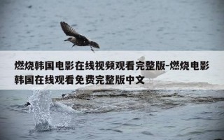 燃烧韩国电影在线视频观看完整版-燃烧电影韩国在线观看免费完整版中文