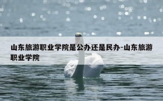 山东旅游职业学院是公办还是民办-山东旅游职业学院