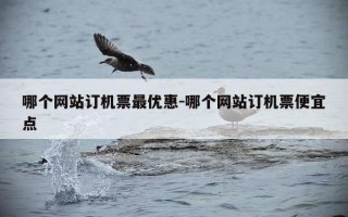 哪个网站订机票最优惠-哪个网站订机票便宜点