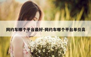 网约车哪个平台最好-网约车哪个平台单价高