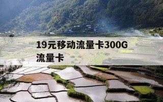 19元移动流量卡300G流量卡-19块钱100g的纯流量卡移动